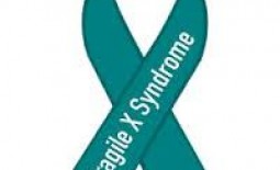 Fragile X Syndrome (FXS)